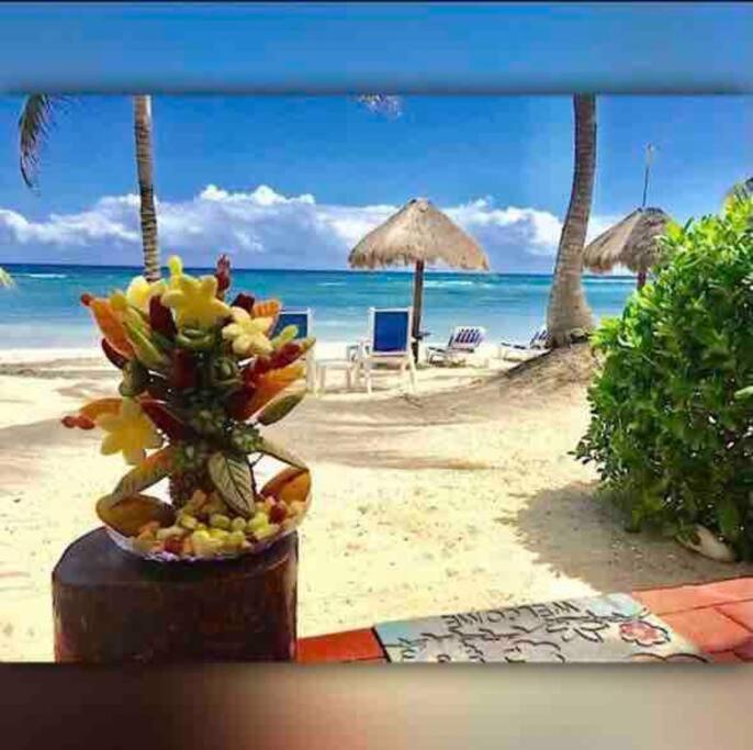 Beachfront Akumal Half Moon Bay Extérieur photo